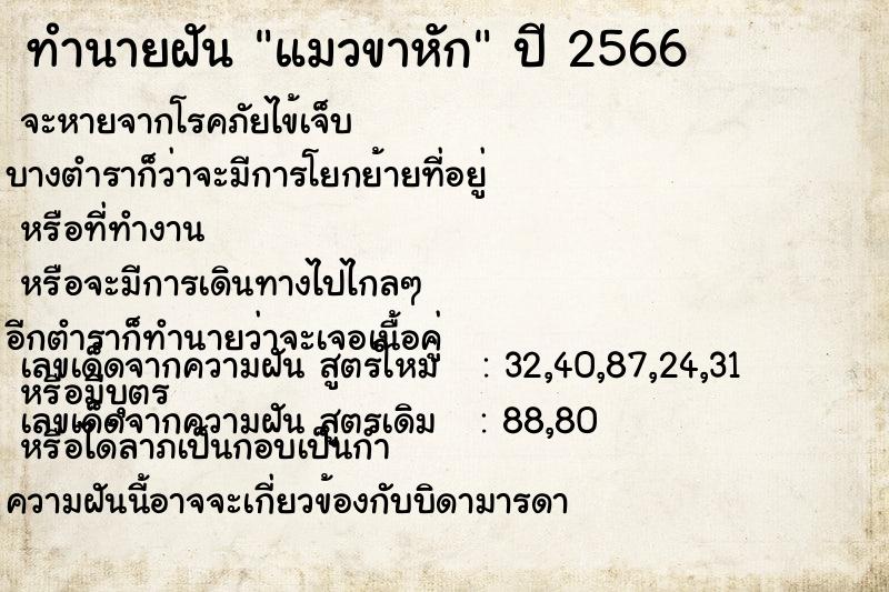 ทำนายฝัน แมวขาหัก ตำราโบราณ แม่นที่สุดในโลก