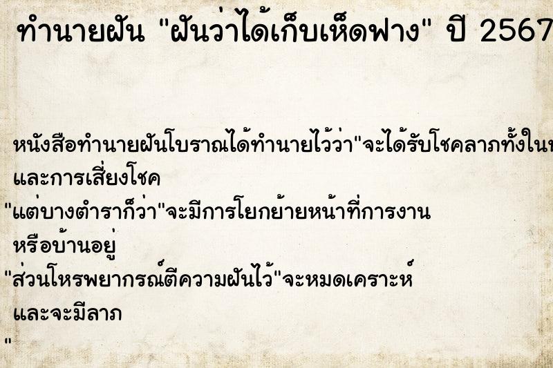 ทำนายฝันฝันว่าได้เก็บเห็ดฟาง ทำนายฝันทำนายฝันฝันว่าได้เก็บเห็ดฟาง