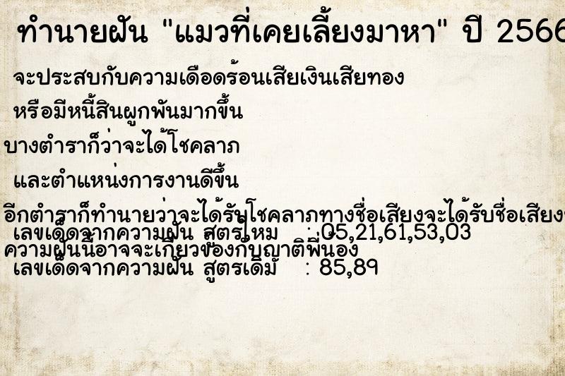 ทำนายฝัน แมวที่เคยเลี้ยงมาหา ทำนายฝัน แมวที่เคยเลี้ยงมาหา