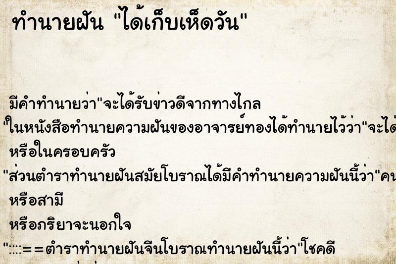 ทำนายฝัน ได้เก็บเห็ดวัน ตำราโบราณ แม่นที่สุดในโลก