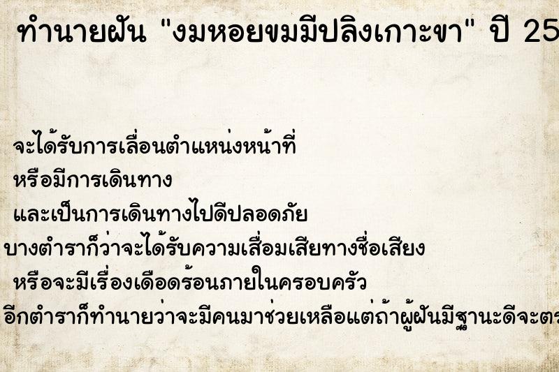 ทำนายฝันงมหอยขมมีปลิงเกาะขา ทำนายฝันทำนายฝันงมหอยขมมีปลิงเกาะขา