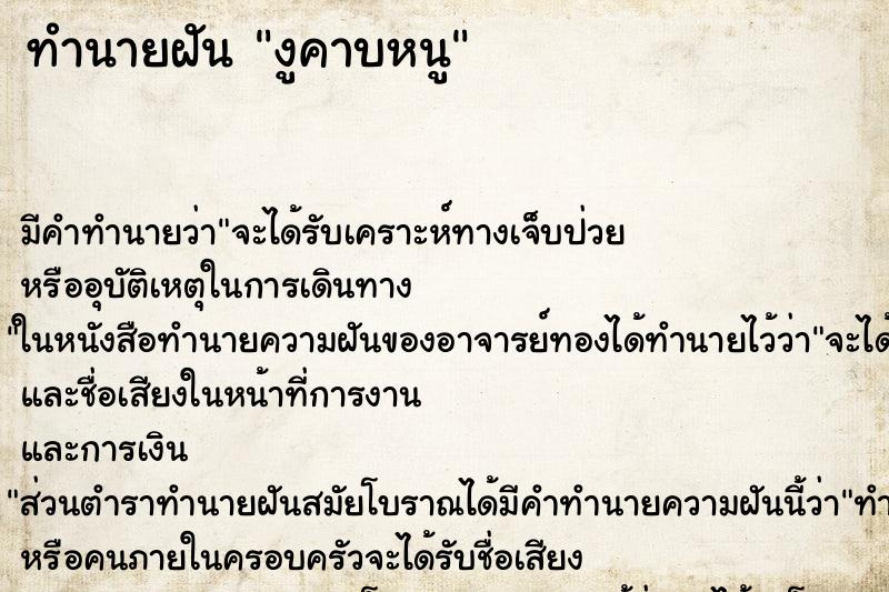 ทำนายฝัน งูคาบหนู ทำนายฝัน งูคาบหนู