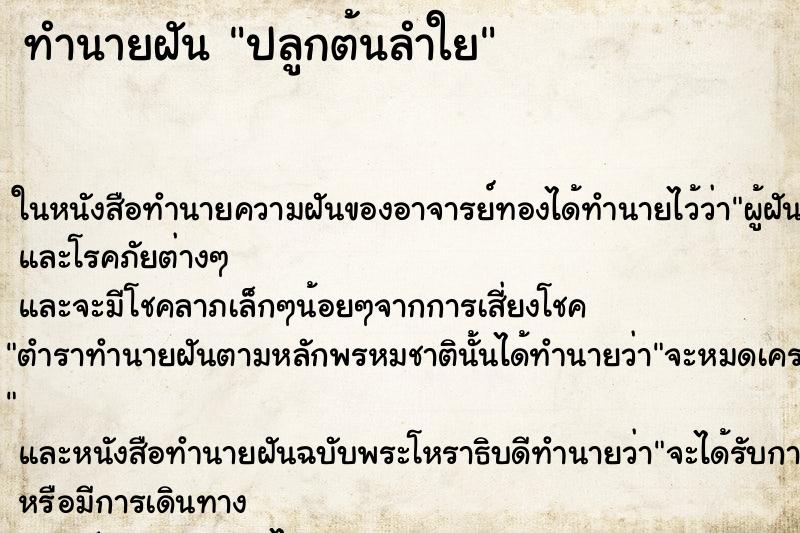 ทำนายฝันทำนายฝันปลูกต้นลำใย