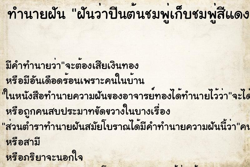ทำนายฝัน ฝันว่าปีนต้นชมพู่เก็บชมพู่สีแดงกิน ทำนายฝัน ฝันว่าปีนต้นชมพู่เก็บชมพู่สีแดงกิน