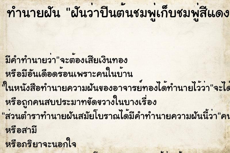 ทำนายฝัน ฝันว่าปีนต้นชมพู่เก็บชมพู่สีแดงกิน ตำราโบราณ แม่นที่สุดในโลก