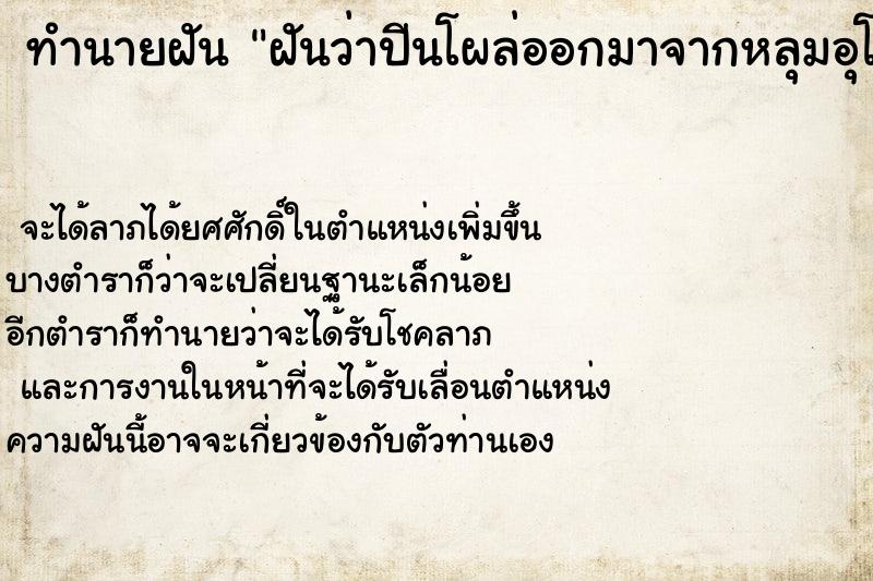 ทำนายฝันทำนายฝันฝันว่าปีนโผล่ออกมาจากหลุมอุโมง