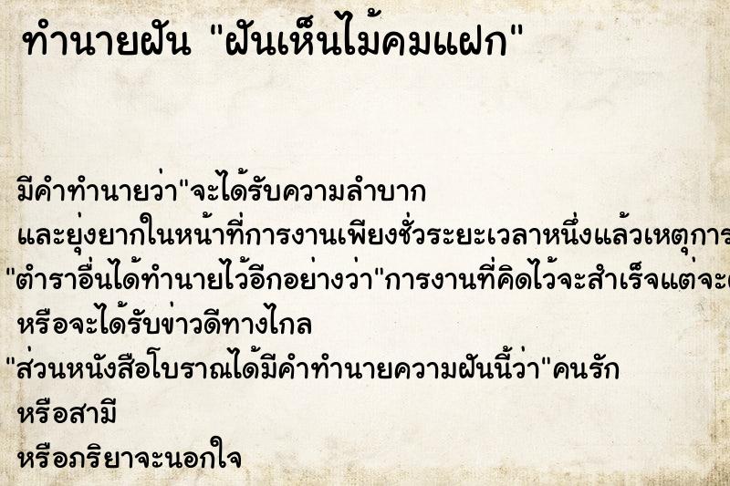 ทำนายฝัน ฝันเห็นไม้คมแฝก ทำนายฝัน ฝันเห็นไม้คมแฝก