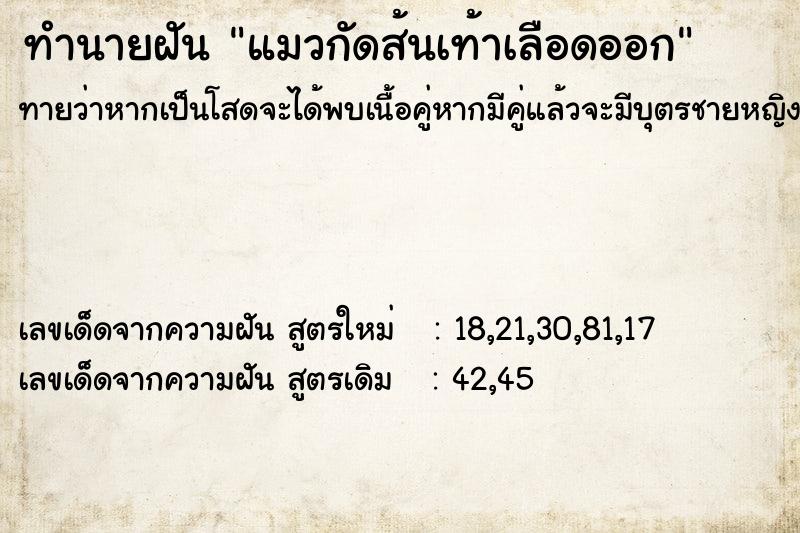 ทำนายฝันทำนายฝันแมวกัดส้นเท้าเลือดออก