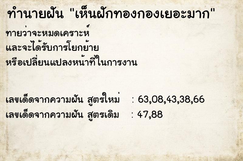 ทำนายฝันทำนายฝันเห็นฝักทองกองเยอะมาก