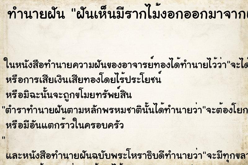 ทำนายฝันฝันเห็นมีรากไม้งอกออกมาจากเท้าซ้าย ทำนายฝันทำนายฝันฝันเห็นมีรากไม้งอกออกมาจากเท้าซ้าย