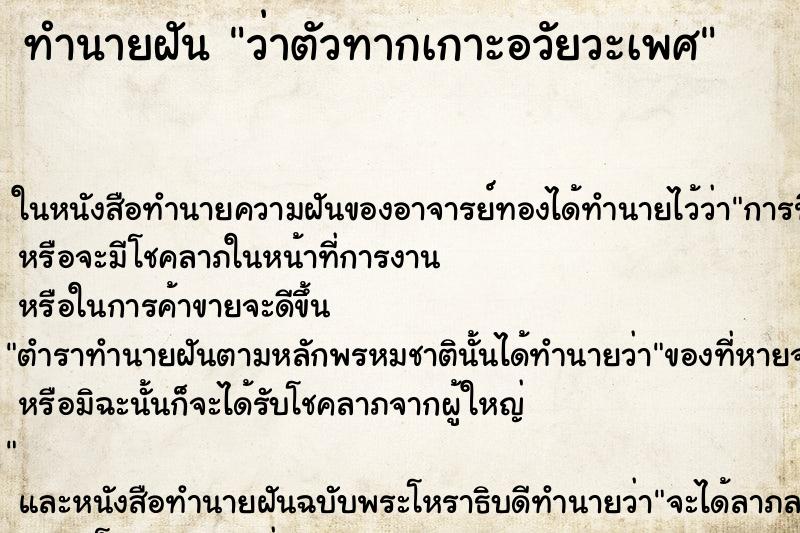 ทำนายฝันทำนายฝันว่าตัวทากเกาะอวัยวะเพศ