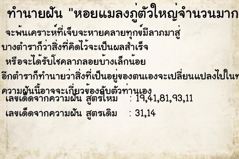 ทำนายฝัน หอยแมลงภู่ตัวใหญ่จำนวนมาก ทำนายฝัน หอยแมลงภู่ตัวใหญ่จำนวนมาก