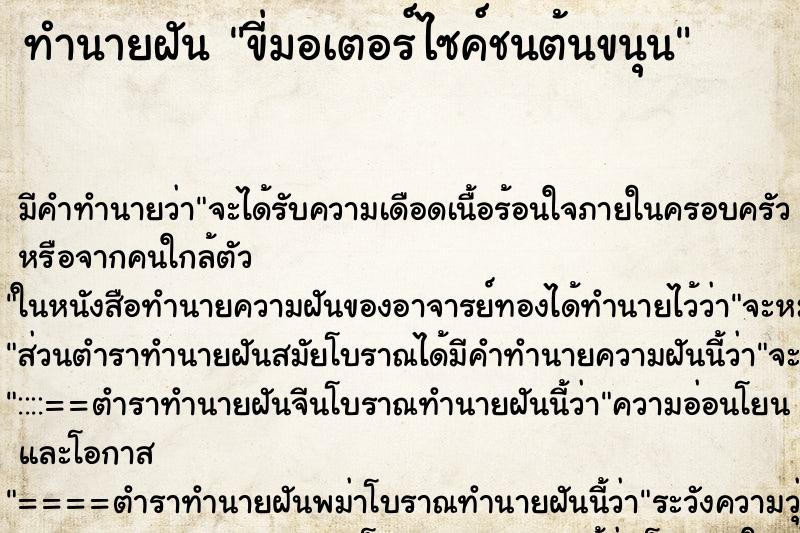ทำนายฝันขี่มอเตอร์ไซค์ชนต้นขนุน ทำนายฝันทำนายฝันขี่มอเตอร์ไซค์ชนต้นขนุน