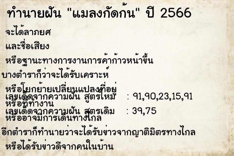 ทำนายฝันแมลงกัดก้น ทำนายฝันทำนายฝันแมลงกัดก้น
