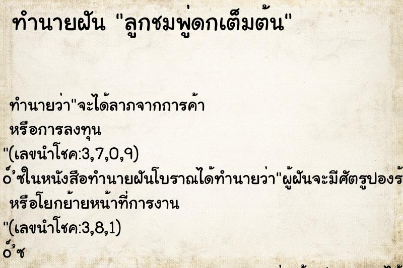 ทำนายฝัน ลูกชมพู่ดกเต็มต้น ตำราโบราณ แม่นที่สุดในโลก