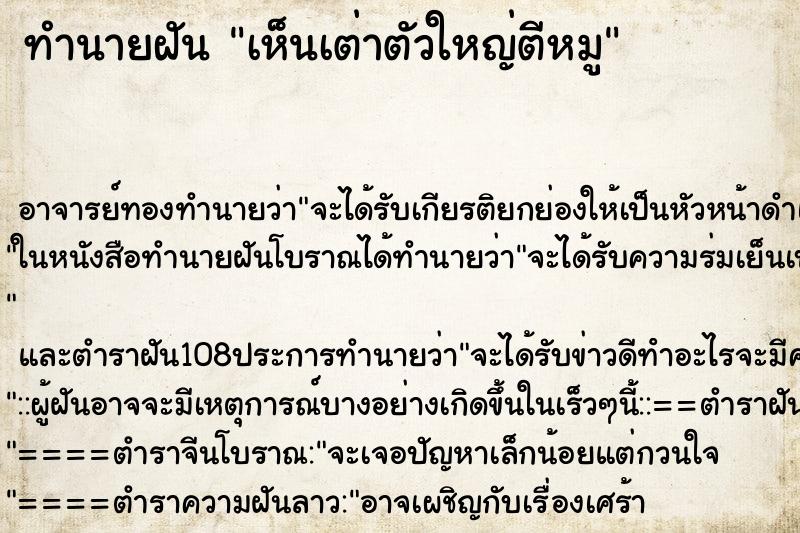 ทำนายฝันทำนายฝันเห็นเต่าตัวใหญ่ตีหมู