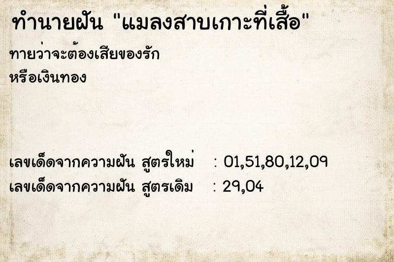 ทำนายฝันทำนายฝันแมลงสาบเกาะที่เสื้อ