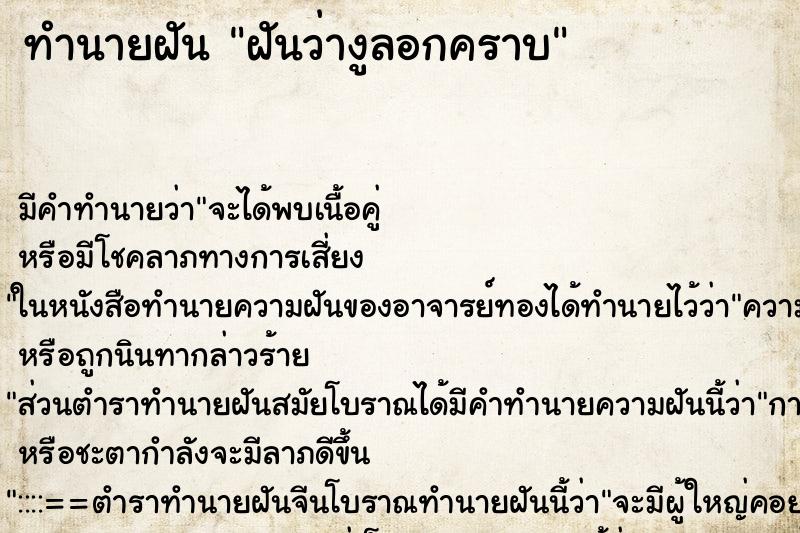 ทำนายฝันฝันว่างูลอกคราบ ทำนายฝันทำนายฝันฝันว่างูลอกคราบ