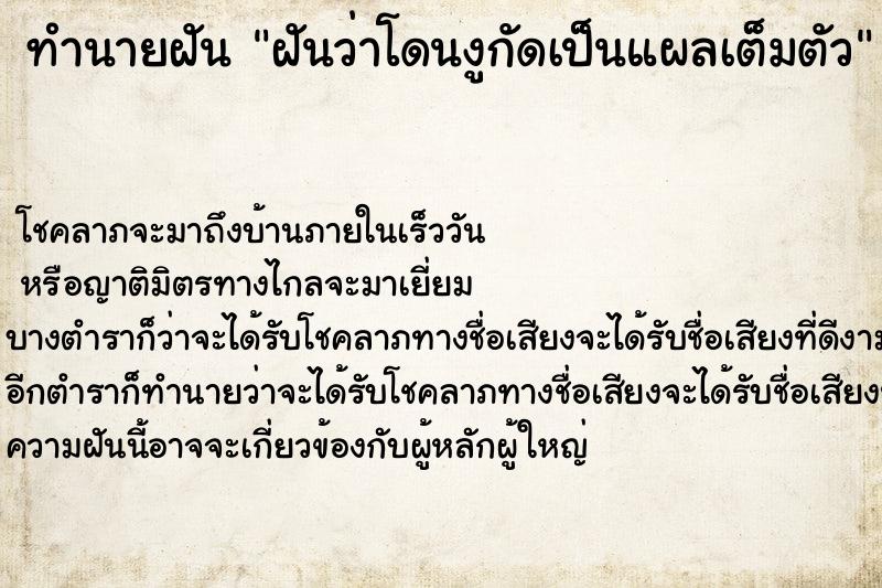 ทำนายฝันฝันว่าโดนงูกัดเป็นแผลเต็มตัว ทำนายฝันทำนายฝันฝันว่าโดนงูกัดเป็นแผลเต็มตัว