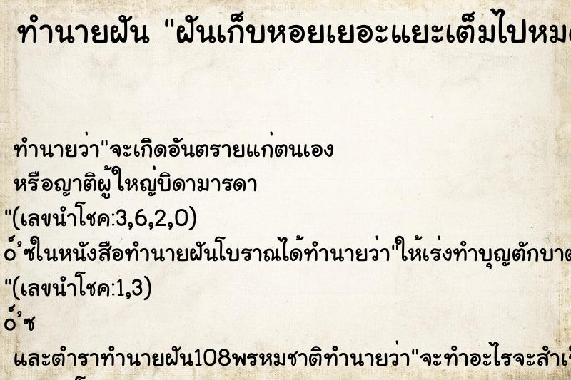 ทำนายฝัน ฝันเก็บหอยเยอะแยะเต็มไปหมด