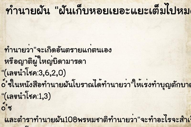 ทำนายฝัน ฝันเก็บหอยเยอะแยะเต็มไปหมด ตำราโบราณ แม่นที่สุดในโลก