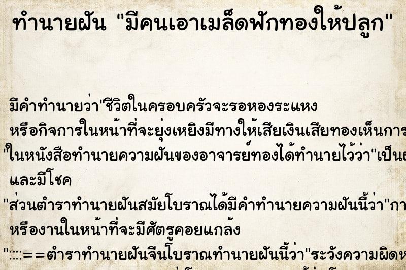 ทำนายฝัน มีคนเอาเมล็ดฟักทองให้ปลูก ทำนายฝัน มีคนเอาเมล็ดฟักทองให้ปลูก