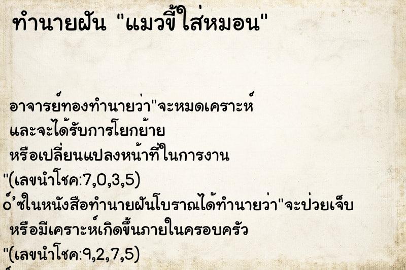 ทำนายฝัน แมวขี้ใส่หมอน ทำนายฝัน แมวขี้ใส่หมอน