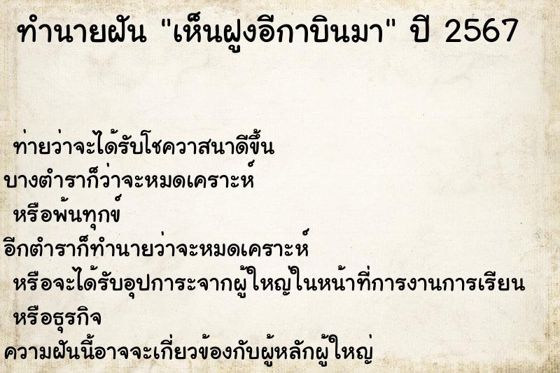 ทำนายฝันทำนายฝันเห็นฝูงอีกาบินมา