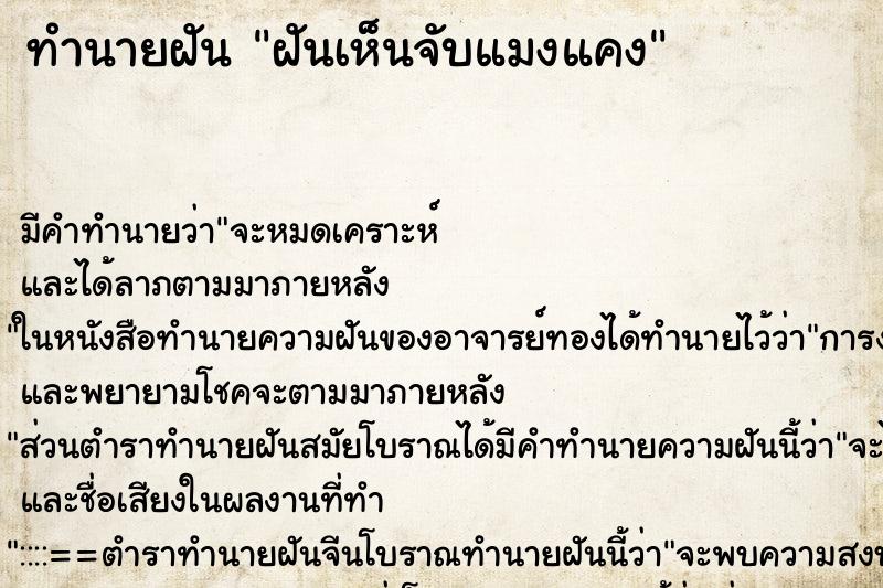 ทำนายฝัน ฝันเห็นจับแมงแคง ทำนายฝัน ฝันเห็นจับแมงแคง