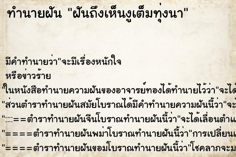 ทำนายฝัน ฝันถึงเห็นงูเต็มทุ่งนา ทำนายฝัน ฝันถึงเห็นงูเต็มทุ่งนา
