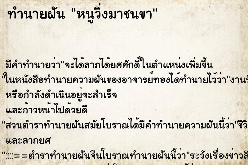 ทำนายฝัน หนูวิ่งมาชนขา ทำนายฝัน หนูวิ่งมาชนขา