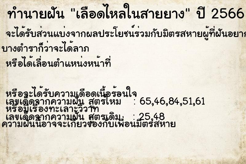 ทำนายฝัน เลือดไหลในสายยาง