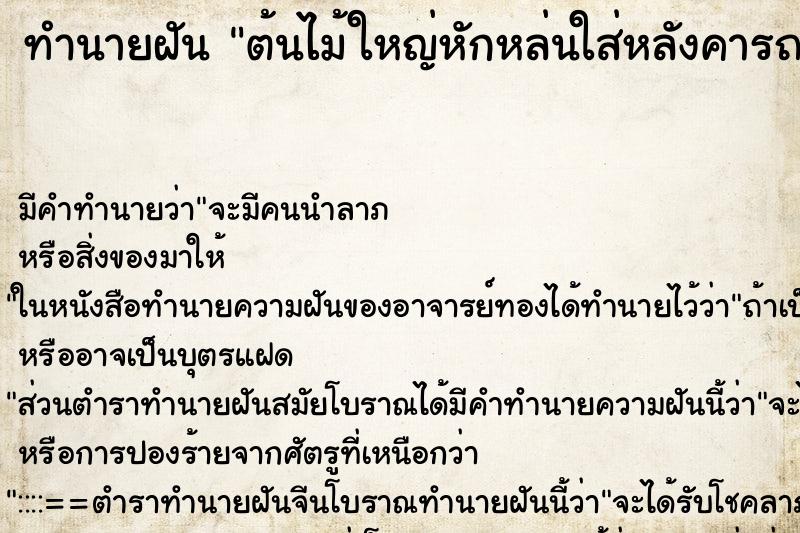 ทำนายฝันต้นไม้ใหญ่หักหล่นใส่หลังคารถ ทำนายฝันทำนายฝันต้นไม้ใหญ่หักหล่นใส่หลังคารถ