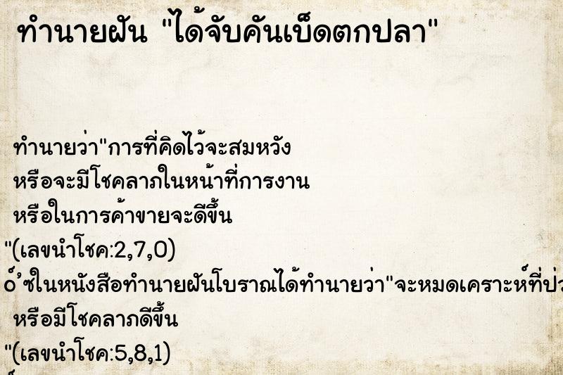 ทำนายฝัน ได้จับคันเบ็ดตกปลา ทำนายฝัน ได้จับคันเบ็ดตกปลา