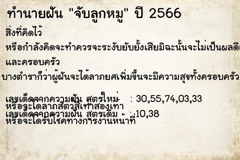 ทำนายฝันจับลูกหมู ทำนายฝันทำนายฝันจับลูกหมู
