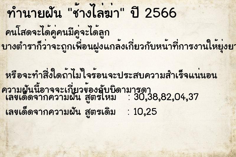 ทำนายฝันช้างไล่ฆ่า ทำนายฝันทำนายฝันช้างไล่ฆ่า