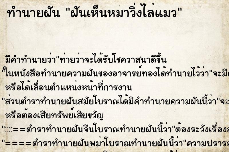 ทำนายฝัน ฝันเห็นหมาวิ่งไล่แมว ตำราโบราณ แม่นที่สุดในโลก