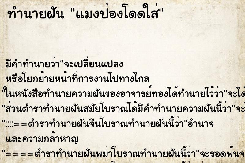 ทำนายฝันแมงป่องโดดใส่ ทำนายฝันทำนายฝันแมงป่องโดดใส่