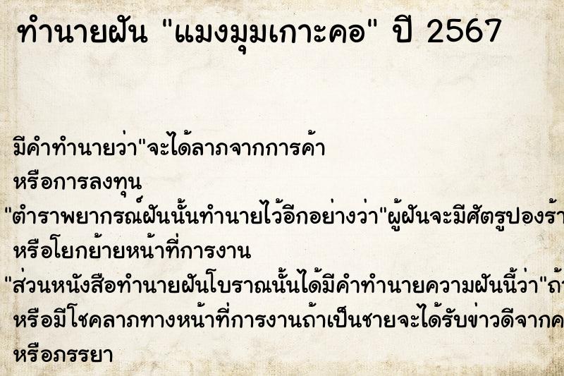 ทำนายฝันแมงมุมเกาะคอ ทำนายฝันทำนายฝันแมงมุมเกาะคอ