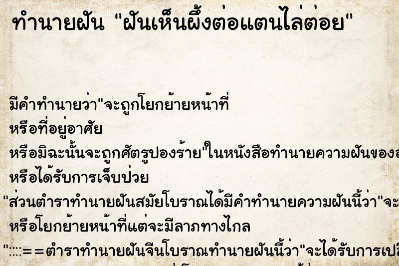 ทำนายฝัน ฝันเห็นผึ้งต่อแตนไล่ต่อย ทำนายฝัน ฝันเห็นผึ้งต่อแตนไล่ต่อย