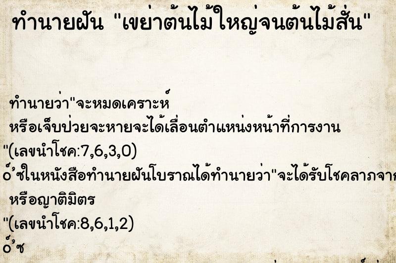 ทำนายฝันทำนายฝันเขย่าต้นไม้ใหญ่จนต้นไม้สั่น
