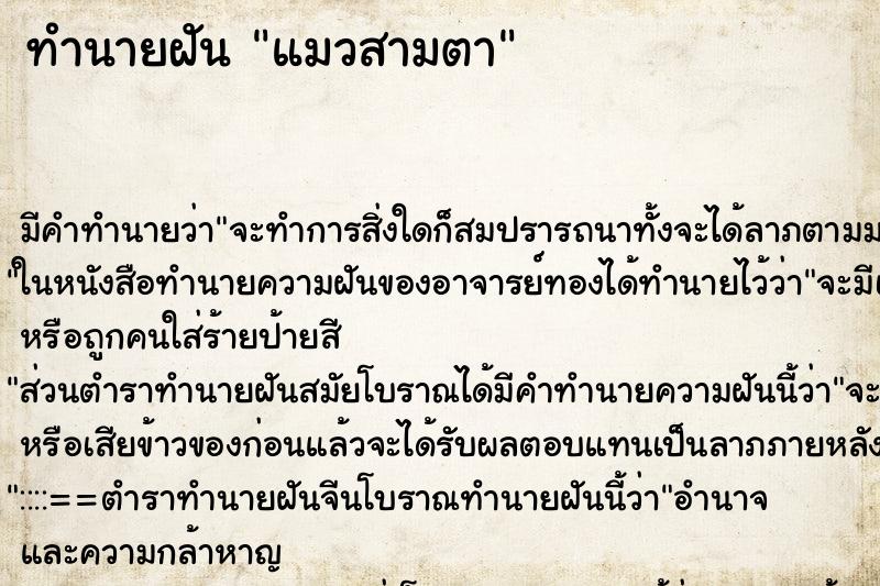 ทำนายฝัน แมวสามตา ทำนายฝัน แมวสามตา