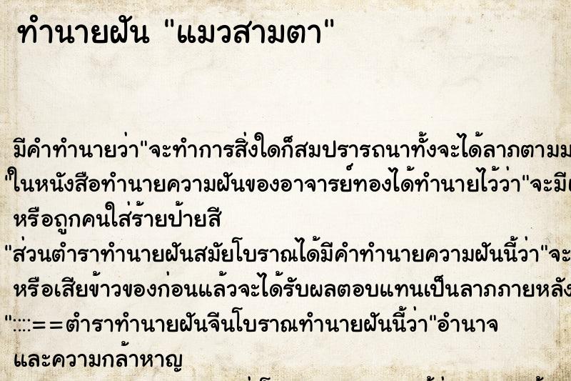 ทำนายฝัน แมวสามตา ตำราโบราณ แม่นที่สุดในโลก