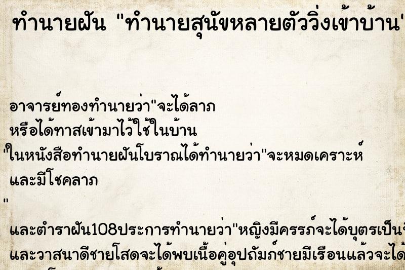 ทำนายฝันทำนายฝันทำนายสุนัขหลายตัววิ่งเข้าบ้าน