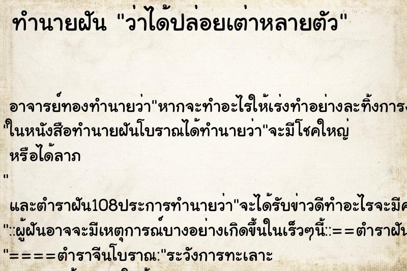 ทำนายฝันว่าได้ปล่อยเต่าหลายตัว ทำนายฝันทำนายฝันว่าได้ปล่อยเต่าหลายตัว