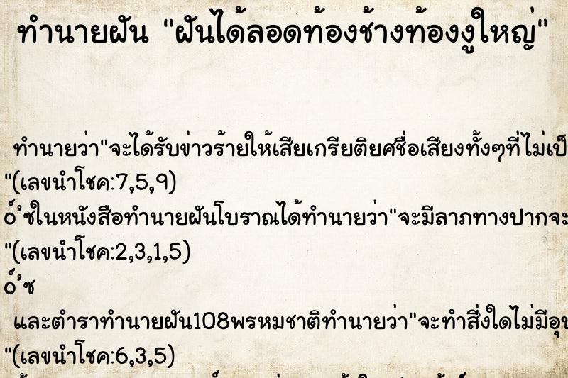 ทำนายฝันฝันได้ลอดท้องช้างท้องงูใหญ่ ทำนายฝันทำนายฝันฝันได้ลอดท้องช้างท้องงูใหญ่