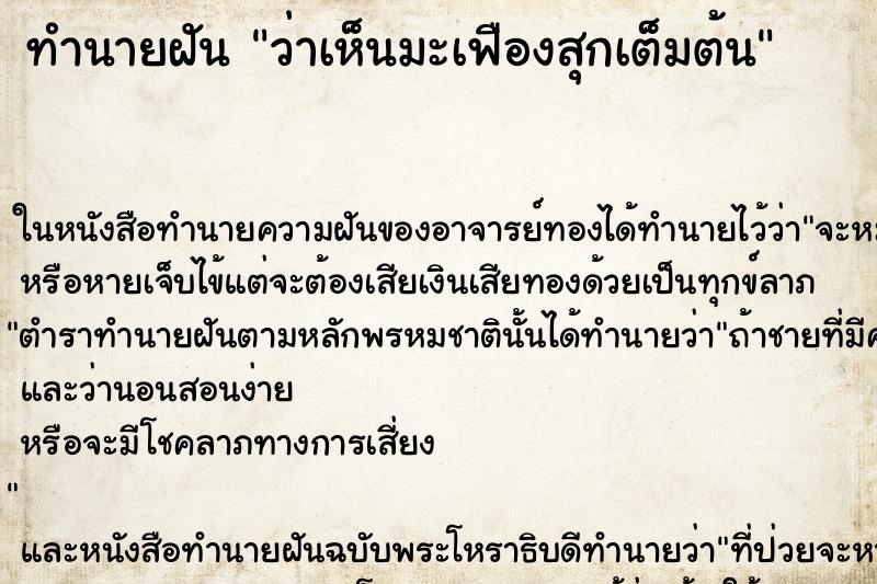 ทำนายฝัน ว่าเห็นมะเฟืองสุกเต็มต้น ทำนายฝัน ว่าเห็นมะเฟืองสุกเต็มต้น