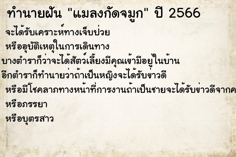 ทำนายฝันแมลงกัดจมูก ทำนายฝันทำนายฝันแมลงกัดจมูก