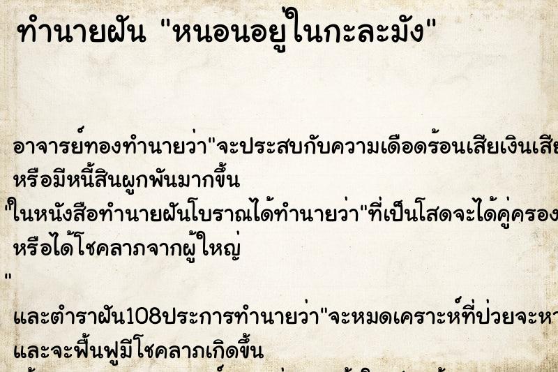 ทำนายฝันหนอนอยู่ในกะละมัง ทำนายฝันทำนายฝันหนอนอยู่ในกะละมัง