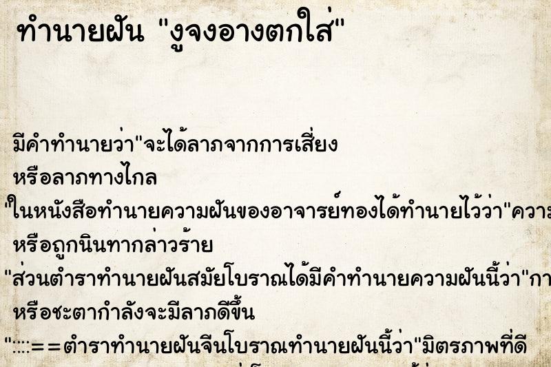 ทำนายฝันงูจงอางตกใส่ ทำนายฝันทำนายฝันงูจงอางตกใส่